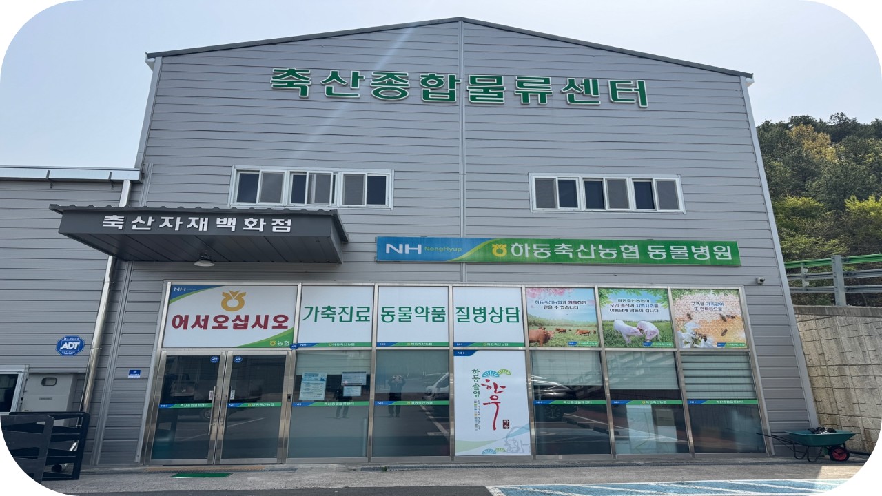 동물병원