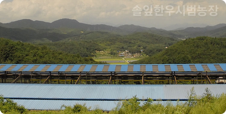 솔잎한우시범농장