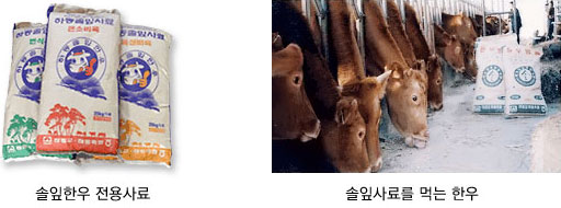 솔잎한우사료